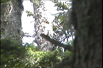199608_034_thumb.jpg