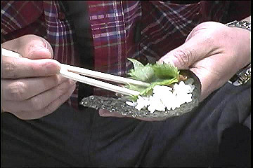 199608_036_thumb.jpg