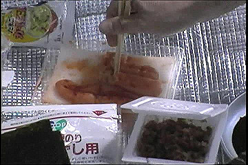 199608_037_thumb.jpg