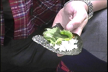 199608_038_thumb.jpg