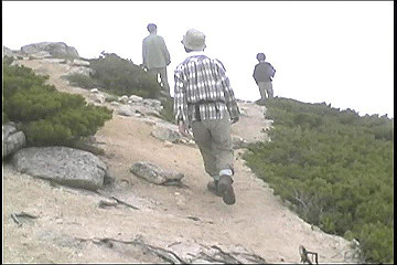 199608_052_thumb.jpg