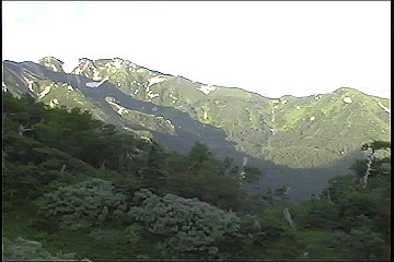 199608_064_thumb.jpg