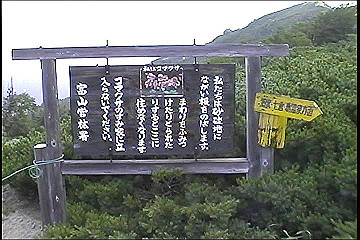 199608_065_thumb.jpg