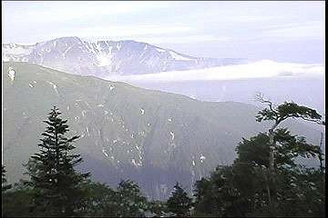 199608_069_thumb.jpg