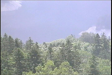 199608_100_thumb.jpg