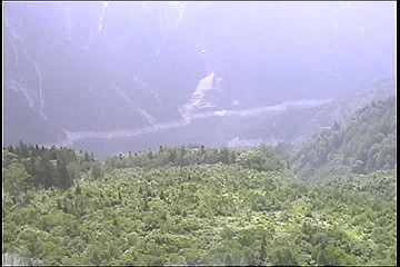 199608_101_thumb.jpg