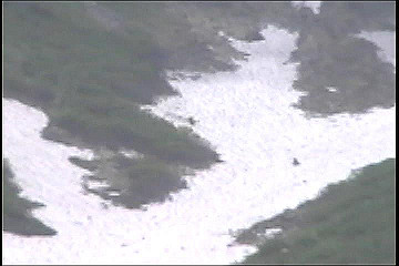199608_105_thumb.jpg