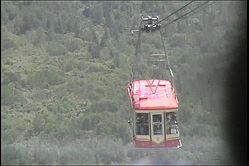 199608_106_thumb.jpg