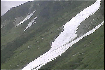 199608_107_thumb.jpg