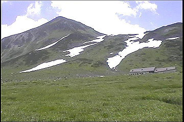 199608_121_thumb.jpg