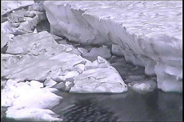 199608_130_thumb.jpg