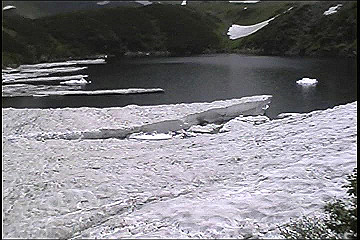199608_134_thumb.jpg