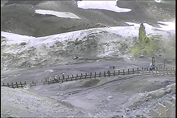 199608_135_thumb.jpg