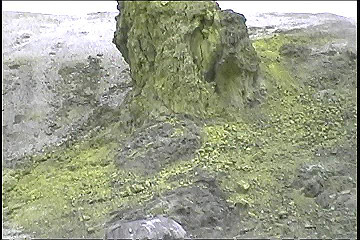 199608_142_thumb.jpg