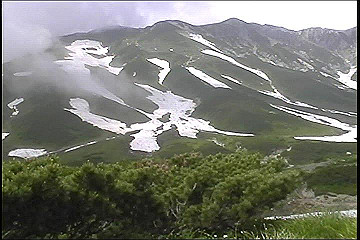 199608_165_thumb.jpg