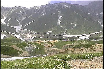 199608_166_thumb.jpg