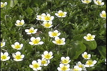 199608_167_thumb.jpg