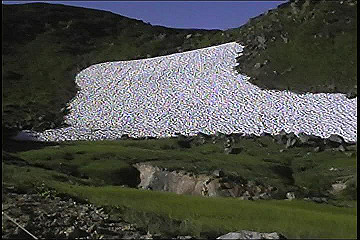 199608_181_thumb.jpg