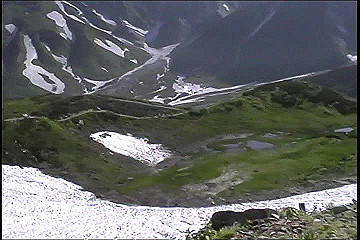 199608_184_thumb.jpg