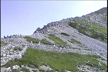 199608_187_thumb.jpg