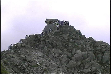 199608_190_thumb.jpg