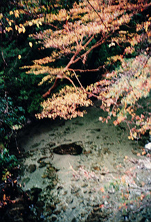 19961104_0030_thumb.jpg