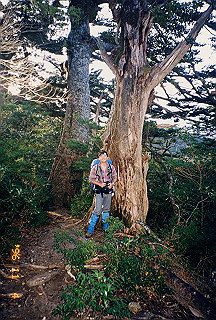 19961104_0062_thumb.jpg