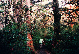 19961104_0080_thumb.jpg