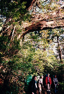 19961104_0100_thumb.jpg