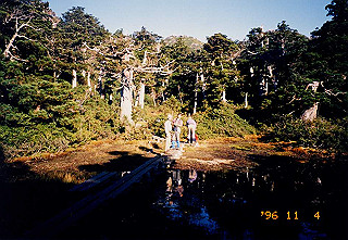 19961104_0145_thumb.jpg