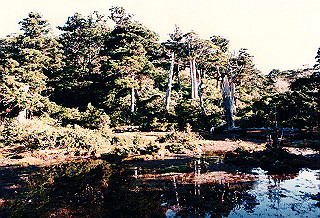 19961104_0150_thumb.jpg
