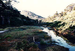 19961104_0160_thumb.jpg