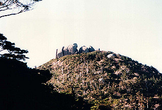 19961104_0170_thumb.jpg