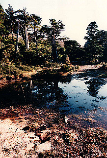 19961104_0210_thumb.jpg