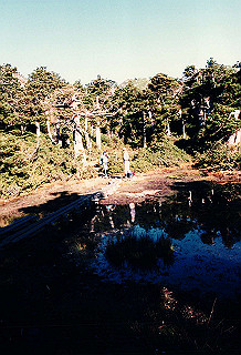 19961104_0240_thumb.jpg