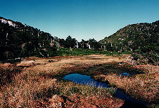 19961104_0250_thumb.jpg