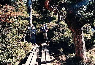 19961104_0280_thumb.jpg