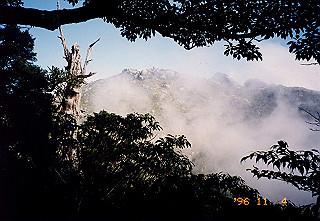 19961104_0305_thumb.jpg