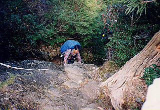 19961104_0314_thumb.jpg