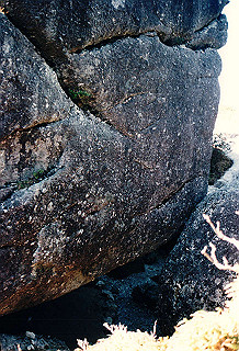 19961104_0340_thumb.jpg