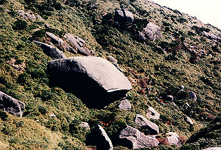 19961104_0390_thumb.jpg