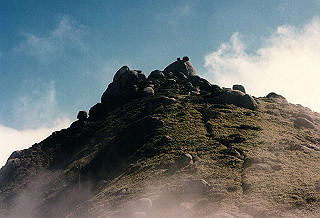 19961104_0410_thumb.jpg