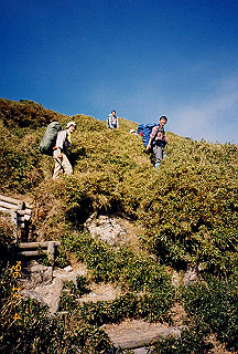 19961104_0425_thumb.jpg