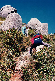19961104_0430_thumb.jpg