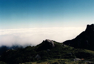 19961104_0440_thumb.jpg