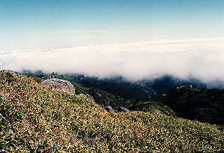 19961104_0450_thumb.jpg