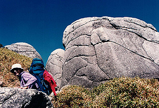 19961104_0480_thumb.jpg