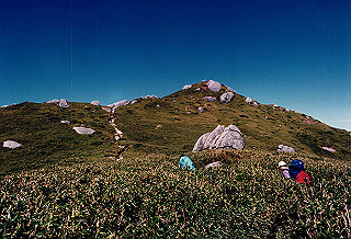 19961104_0500_thumb.jpg
