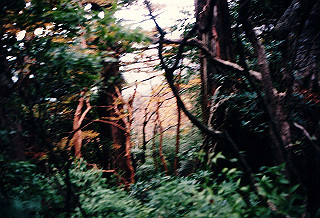 19961105_0030_thumb.jpg