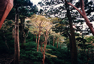 19961105_0080_thumb.jpg